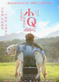 午夜小视频免费
